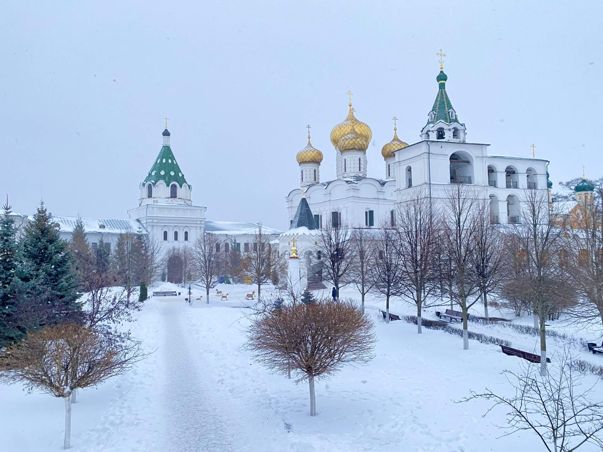 Кострома гастрономическая — фотография 2