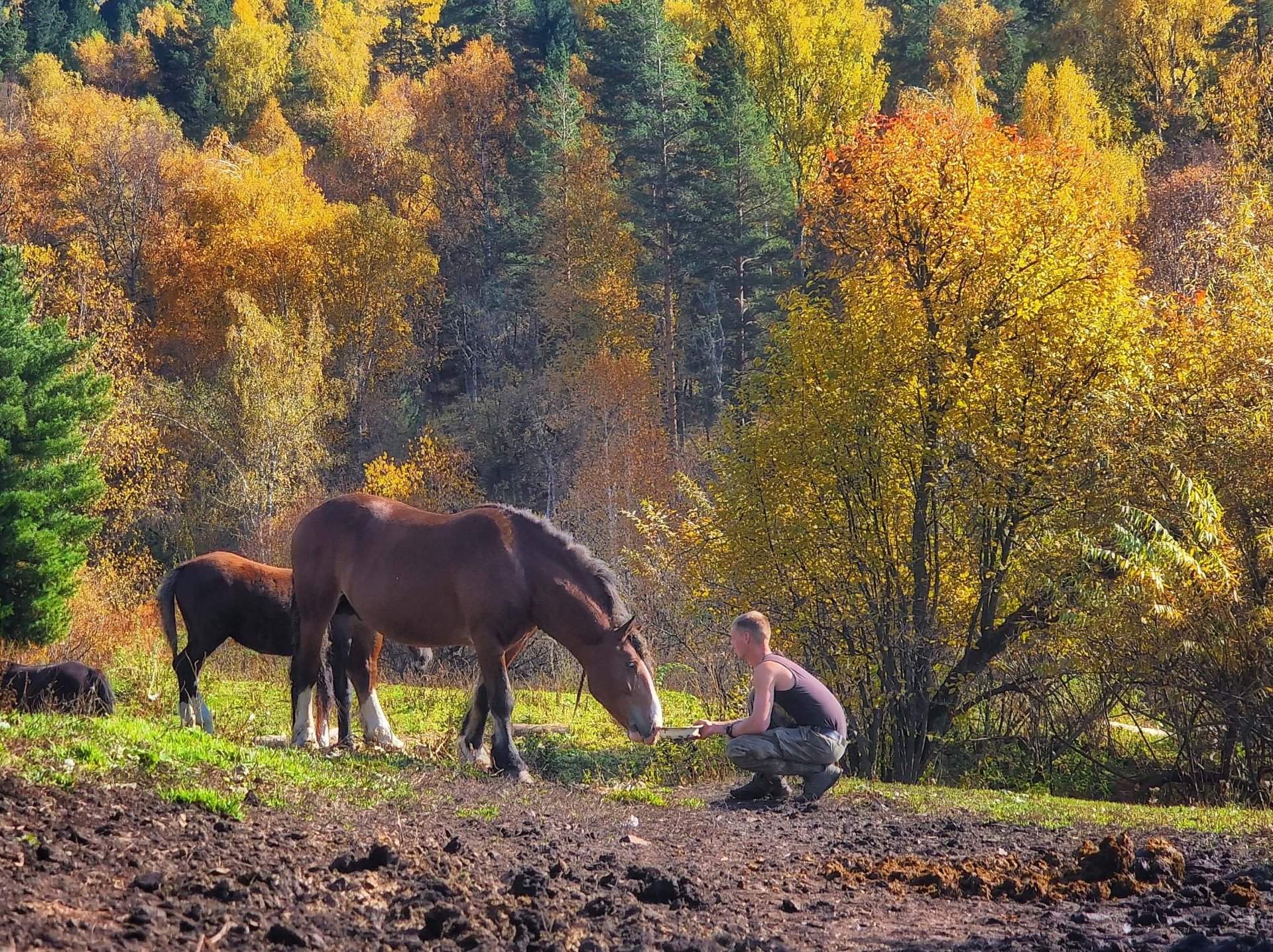 Авто - конный тур "Осенний Алтай" — фотография 3