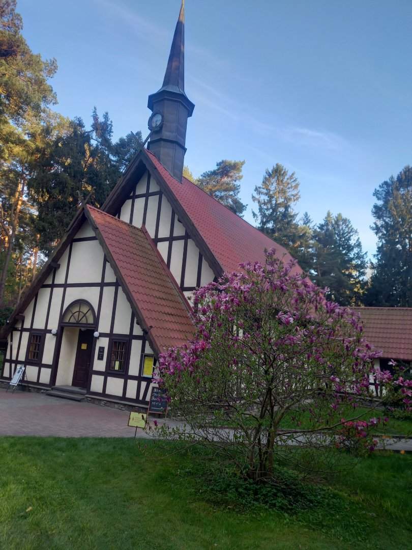 Знакомство с Калининградской областью — фотография 4