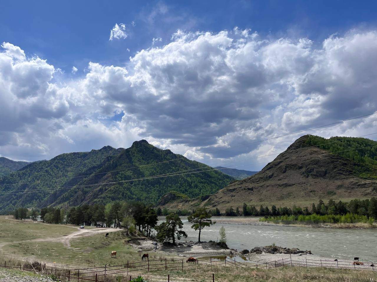 Чудеса Горного Алтая, 4 дня — фотография 3