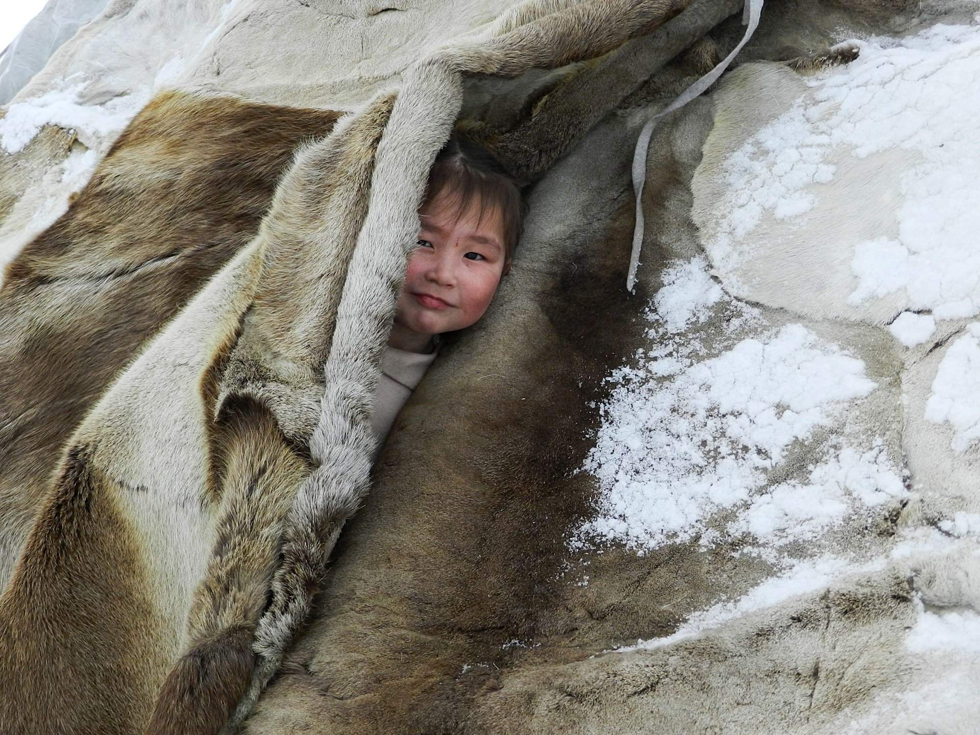 Тундра и люди Севера — фотография 2