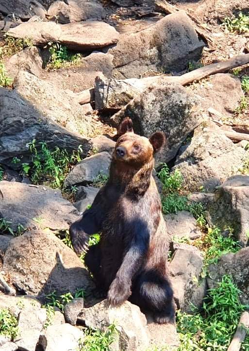 Владивосток-сити — тур выходного дня — фотография 6