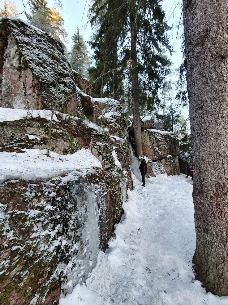 Новогодние каникулы в Выборге: раскроем истории и тайны старинных усадеб — фотография 6