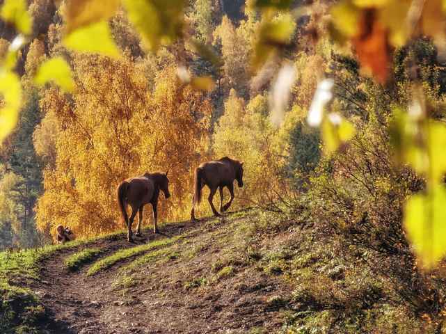 Фотография тура 3