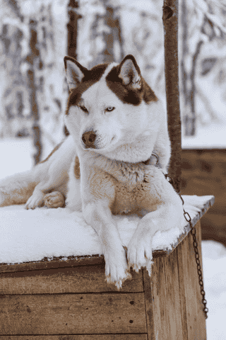 Фотография тура 7